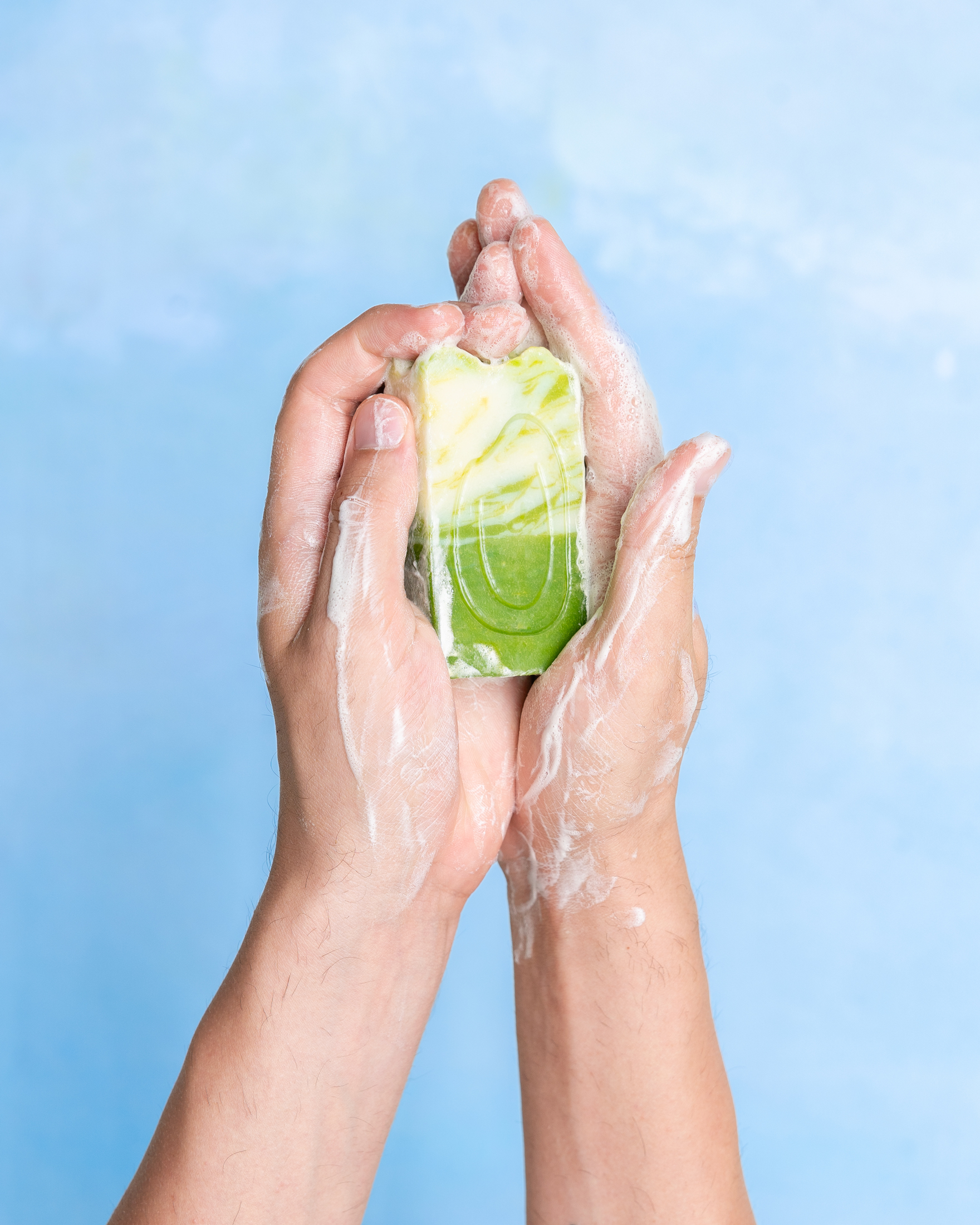 ALOE VERA MUILAS - Image 2