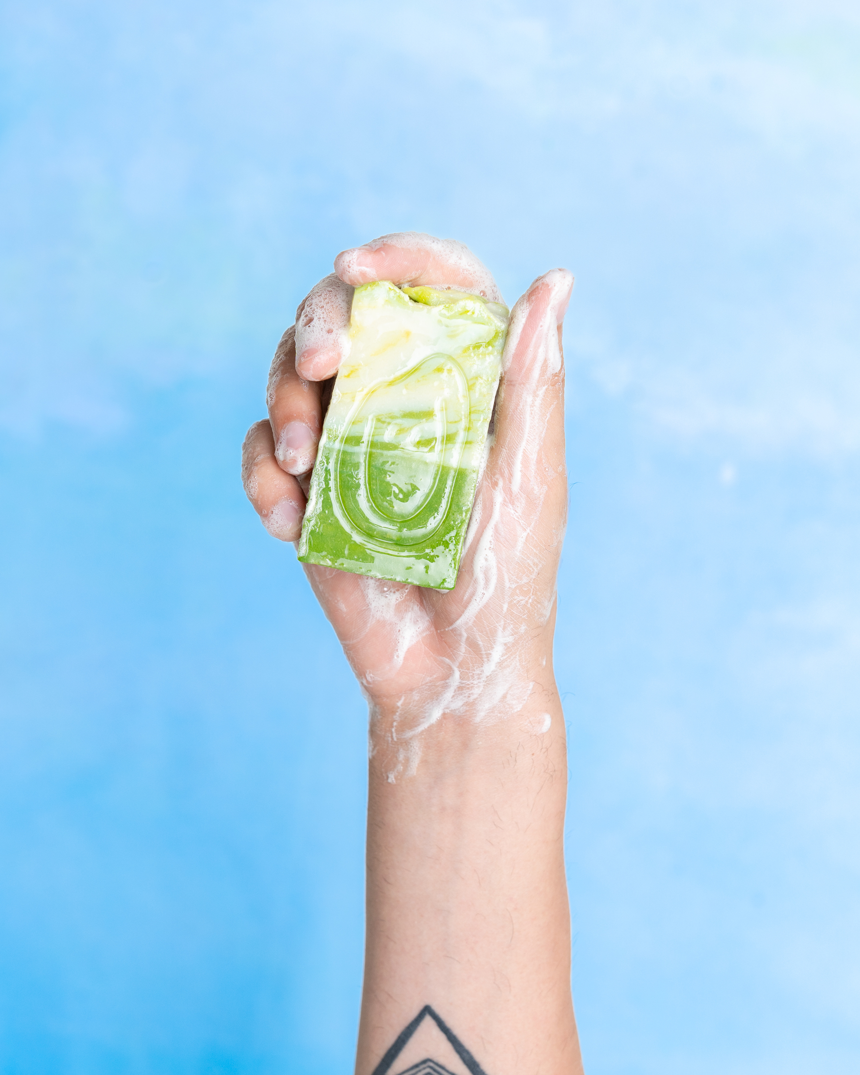 ALOE VERA MUILAS - Image 4