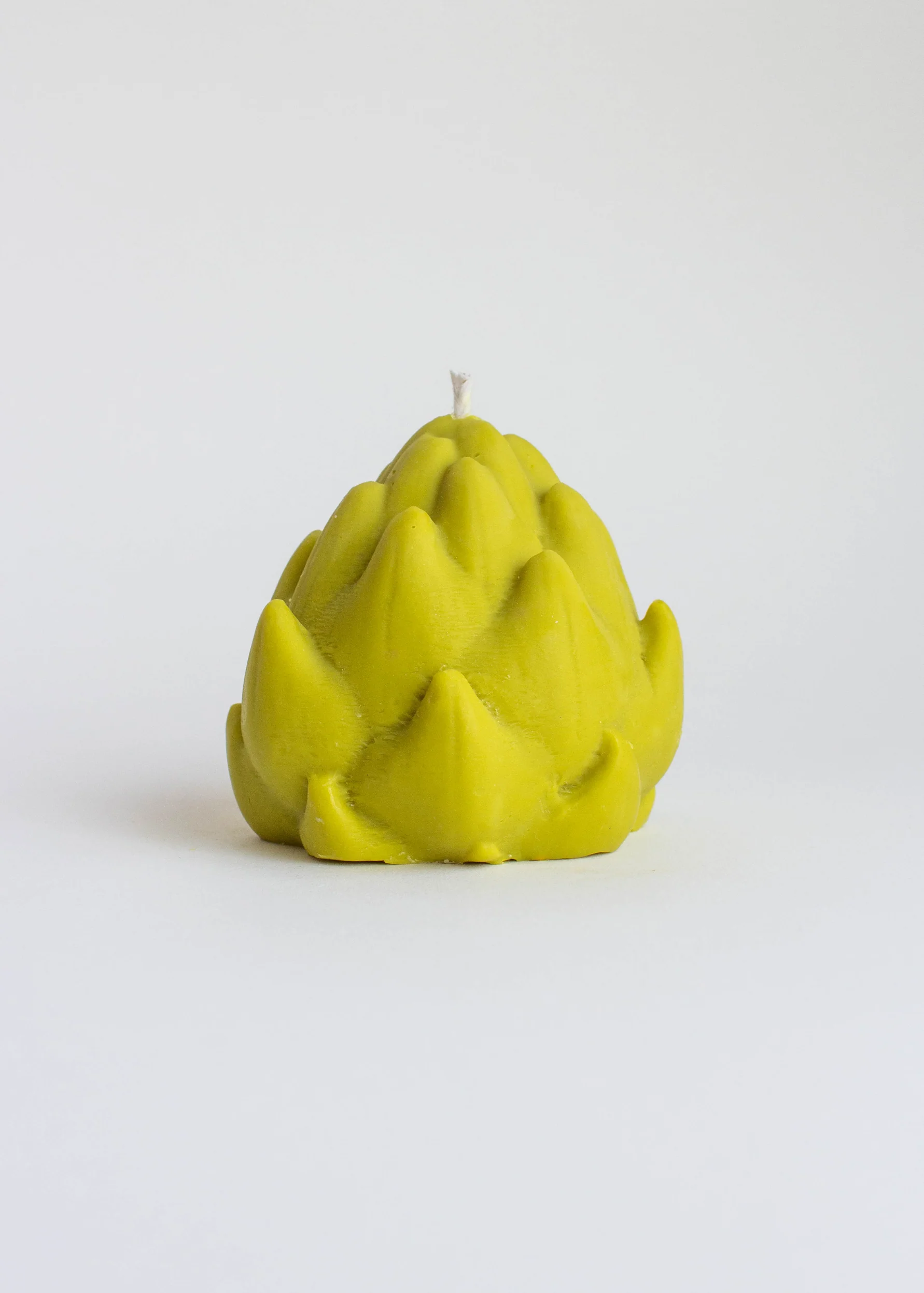 ARTICHOKE ŽVAKĖ - Image 3