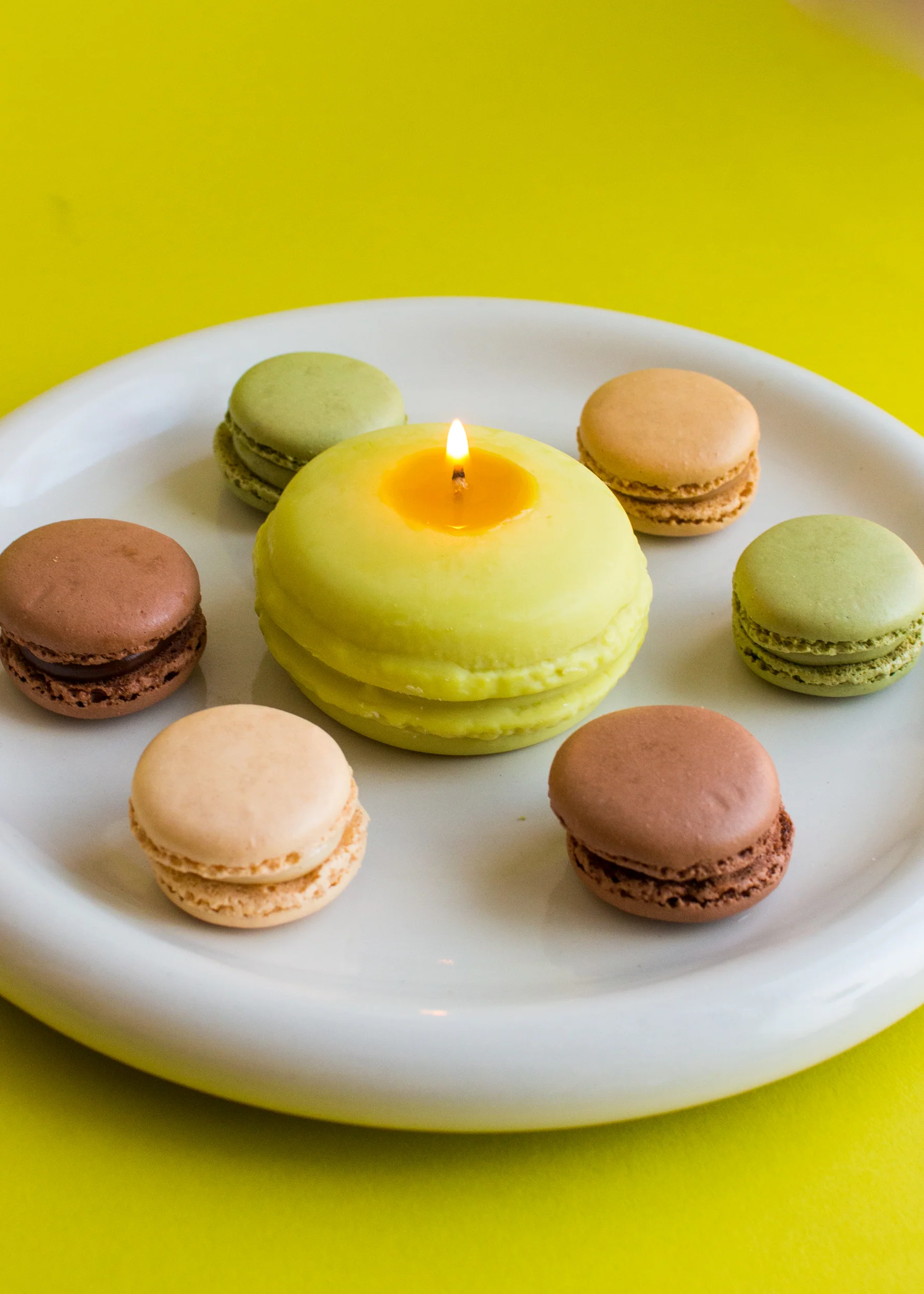 MACARON ŽVAKĖ - Image 2